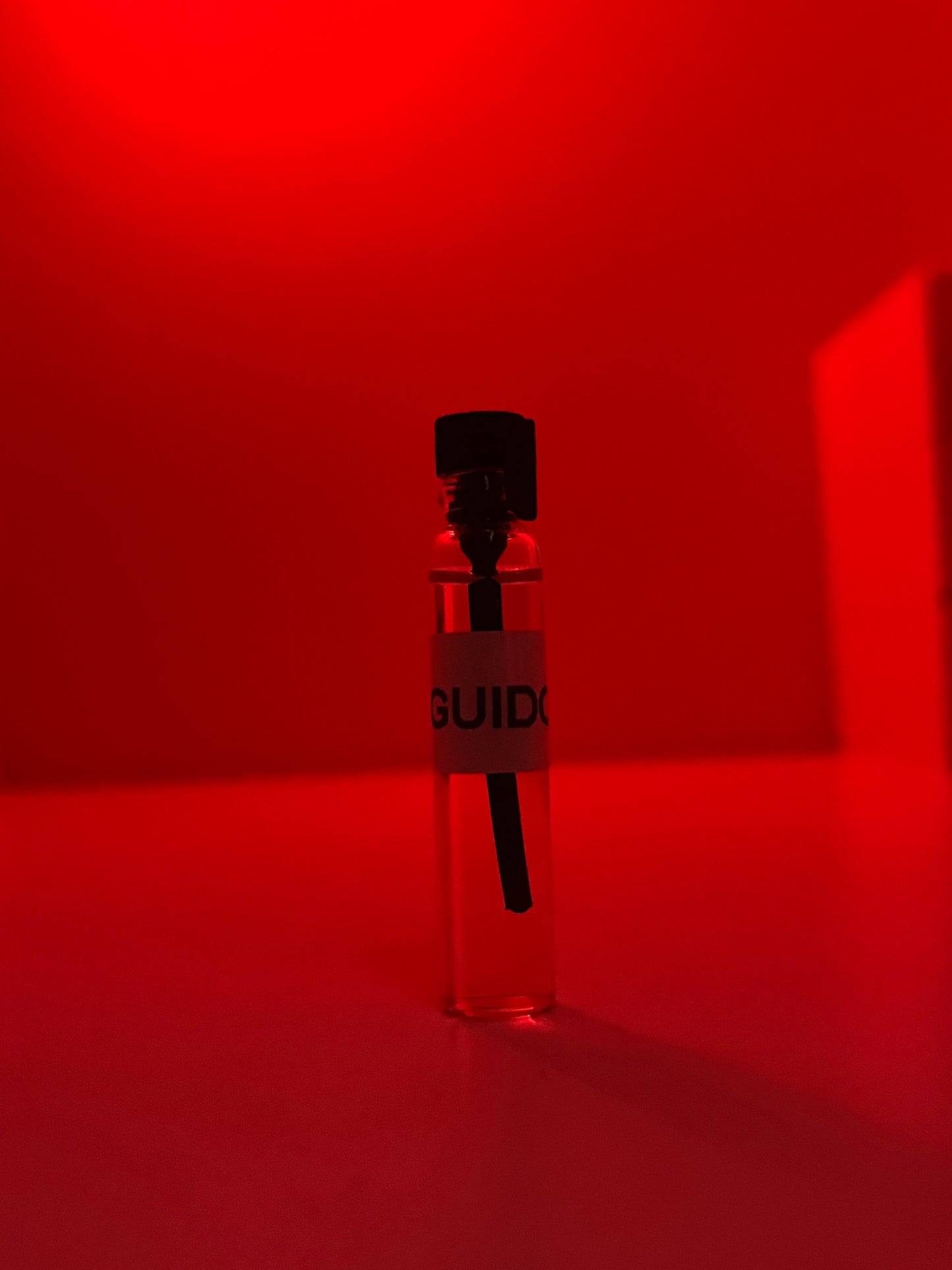 Strangers parfumerie Guido 2ml