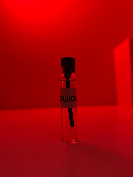 Strangers parfumerie Guido 2ml