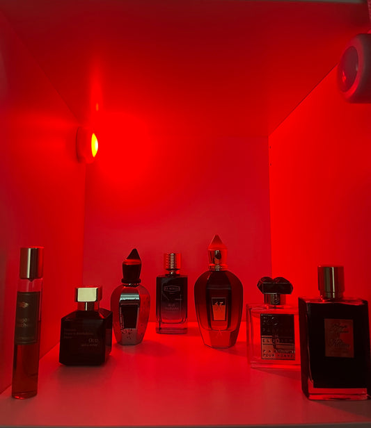 The Niche 14ml